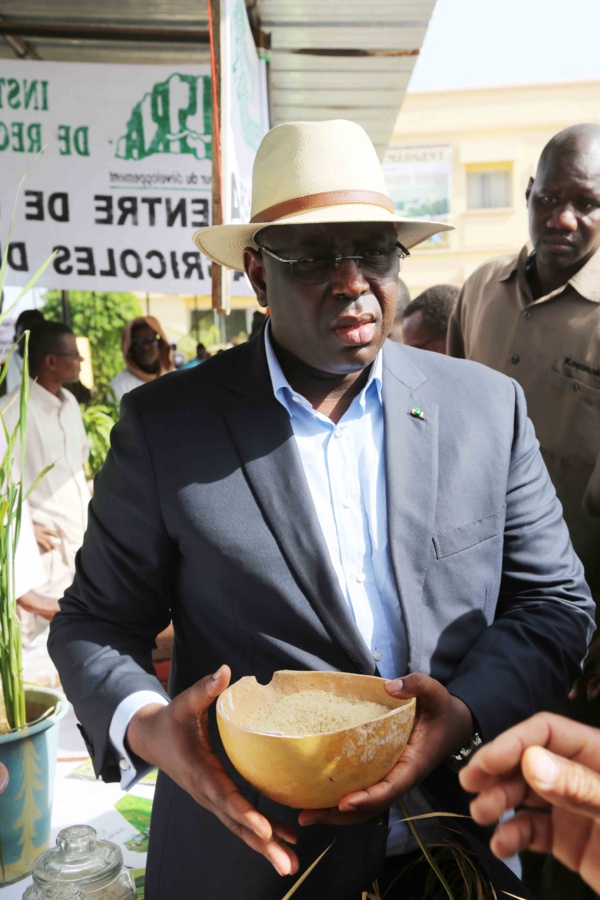 Conseil des ministres: Macky Sall impose aux structures étatiques le riz local