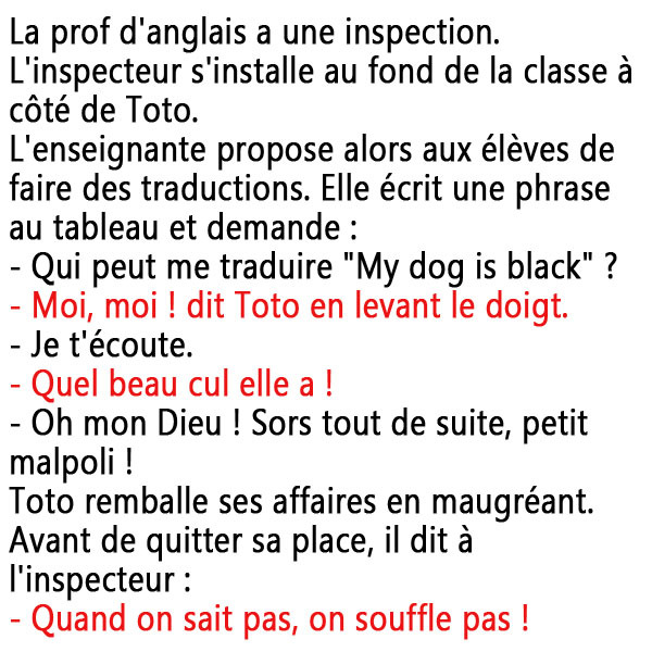 My dog is black en français c’est Quel beau C u L elle a !