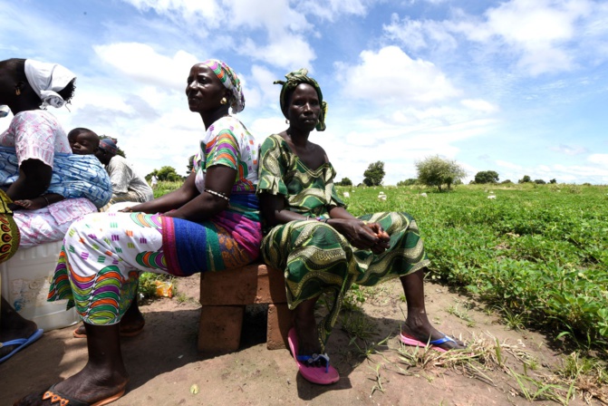 Pauvreté dans le monde rural : Les jeunes du village de Daga Birame réclament de meilleures conditions de vie