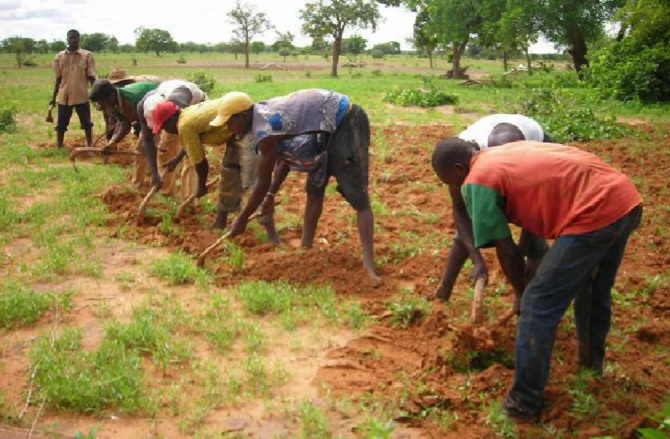 Sédhiou / La première pluie arrose les 3 départements : Prémices ou installation effective, le coaching des producteurs attendu !