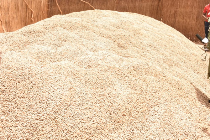 Tournée agricole d’avant l’hivernage à Tambacounda et Kolda: Aly Ngouille Ndiaye visite les dispositifs de la campagne agricole Tournée agricole d’avant l’hivernage à Tambacounda et Kolda: Aly Ngouille Ndiaye visite les dispositifs de la campagne agricole