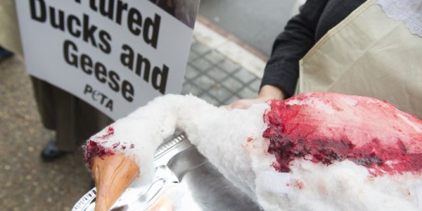 Etats-Unis : la bataille du foie gras est-elle la bonne ?