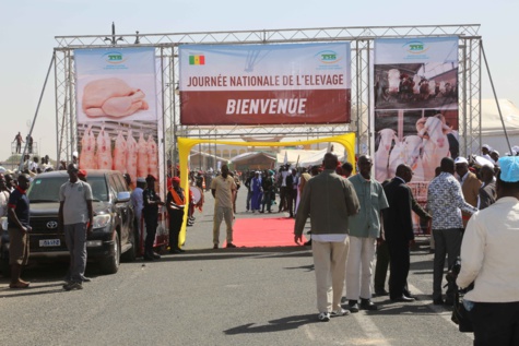 Photos - Le Président Macky Sall préside la première édition de la journée nationale de l'élevage