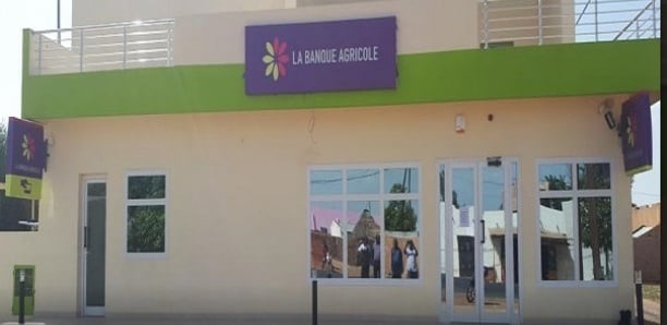 Détournement de 1,2 milliard FCfa : L’escroc et son épouse partis aux États-Unis, la Banque agricole traque les complices Détournement de 1,2 milliard FCfa : L’escroc et son épouse partis aux États-Unis, la Banque agricole traque les complices