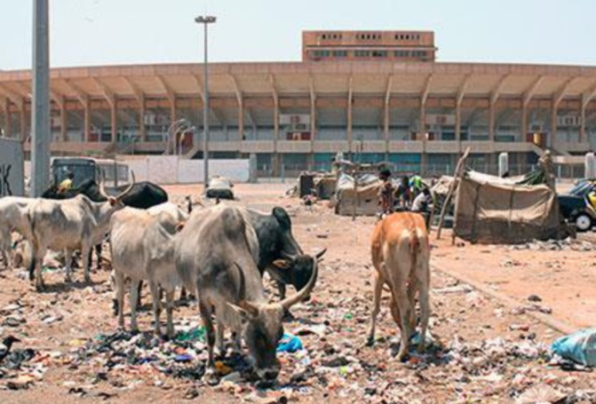 Abords du stade Léopold Sédar Senghor, de la Patte d’Oie, de Liberté VI : Le retour des «bannis»
