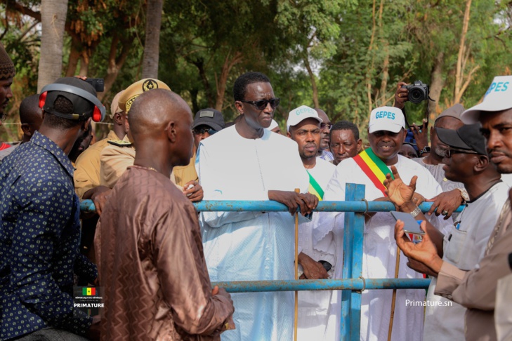 Photos/ Thiès: Amadou Ba, Premier Ministre, Ministre de l’Elevage à la réception de Taurillons « Guzera »