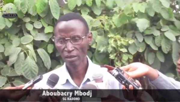La RADDHO alerte : «Si Yahya Jammeh ne change pas, les Gambiens peuvent être amenés à faire comme les Burkinabé »