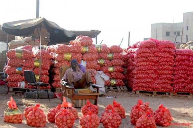 Tabaski 2023 à Saint-Louis : Le marché bien approvisionné en pommes de terre et oignons