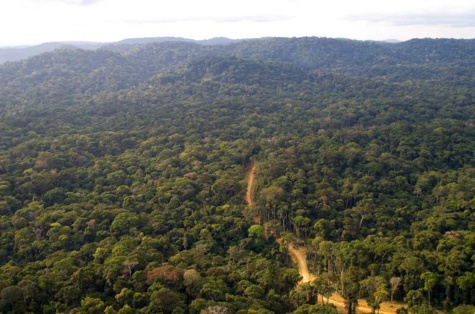 Côté Can : Les journalistes sénégalais se perdent dans la forêt équato-guinéenne pendant 2 heures