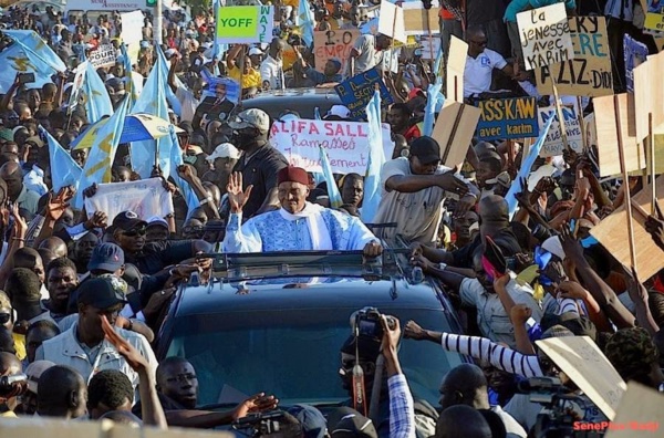Conflit Wade-Sall : le trublion et le bourreau - Par Momar Dieng