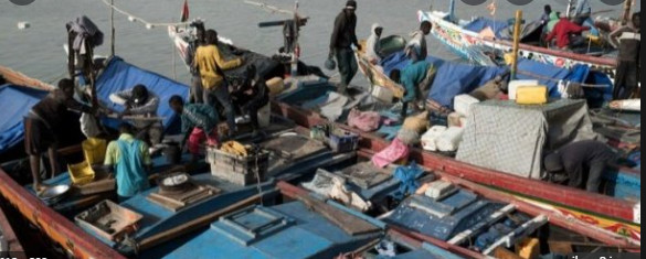 Pêche illicite, rareté des ressources halieutiques, gestion concertée des stocks… : Les pays côtiers ouest africains montent au front
