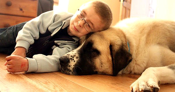 La vie de ce petit garçon atteint d'une anomalie génétique était un enfer, jusqu'à ce qu'il rencontre ce chien à trois pattes !