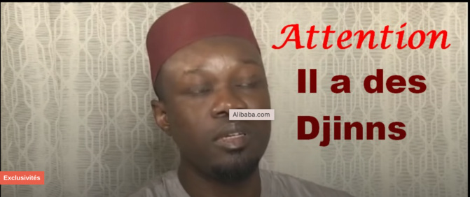 Les casseroles d'Ousmane Sonko versent du sang…Le sacrifice de trop (Xibaaru.com)