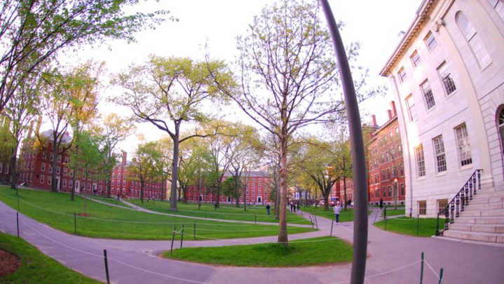 Harvard interdit à ses professeurs de coucher avec leurs étudiants de premier cycle