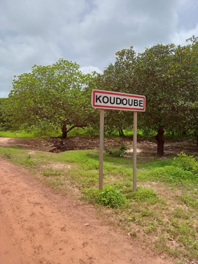 Drogue: Les services de la DOCTRIS de la Police nationale ont saisi une importante quantité Drogue: Les services de la DOCTRIS de la Police nationale ont saisi une importante quantité