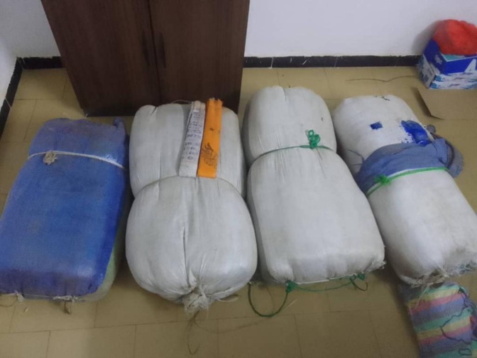 Drogue: Les services de la DOCTRIS de la Police nationale ont saisi une importante quantité Drogue: Les services de la DOCTRIS de la Police nationale ont saisi une importante quantité