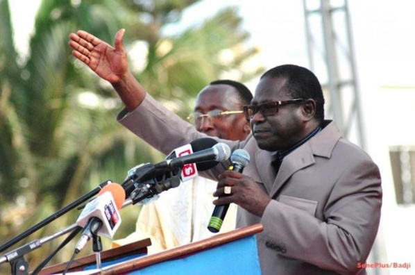 Transhumance : Pape Diop débauche chez Macky à Koungheul