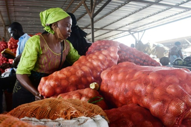 Abdou Karim Fofana annonce l’arrivée de 14 000 tonnes d'oignons, entre le 11 et le 25 août