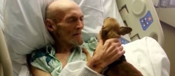 Un homme mourant souhaitait voir son chien une dernière fois. Cette visite lui a sauvé la vie !