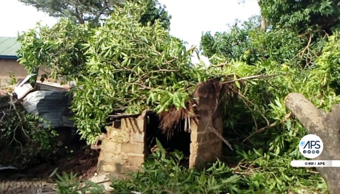Sédhiou : une forte pluie fait des dégâts à Diendé, une cinquantaine de maisons endommagées