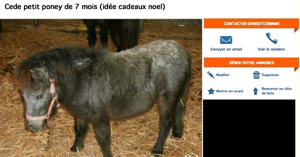 Les perles du site LeBonCoin... Il y a vraiment des gens chelous quand même !