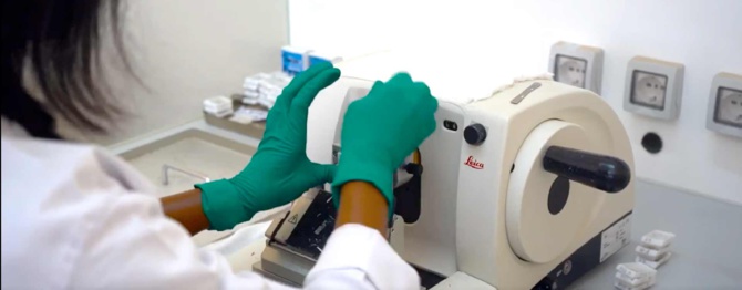 Non-respect des normes internationales, insuffisance de ressources humaines... les laboratoires de biologie médicale à l’agonie