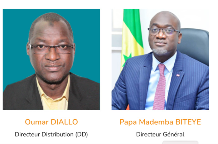 Sénélec : Des agents exemplaires au service des habitants de Recasement 1 Almadies, Cité Gorgui et plus de 14 villages près de Ziguinchor