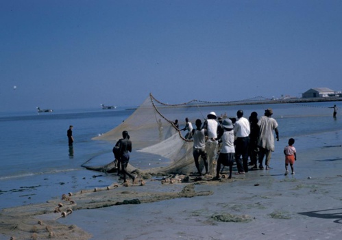 Arrêt sur image : La relève des filets sur la plage de Hann en 1960.