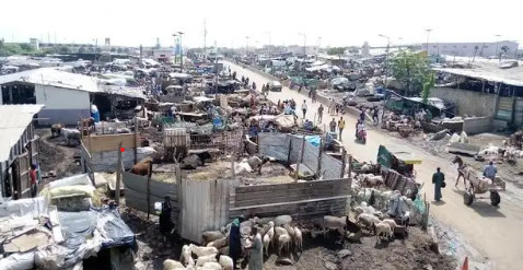 Foirail de Diamaguène Sicap Mbao: Un projet de 6 milliards FCfa divise les éleveurs