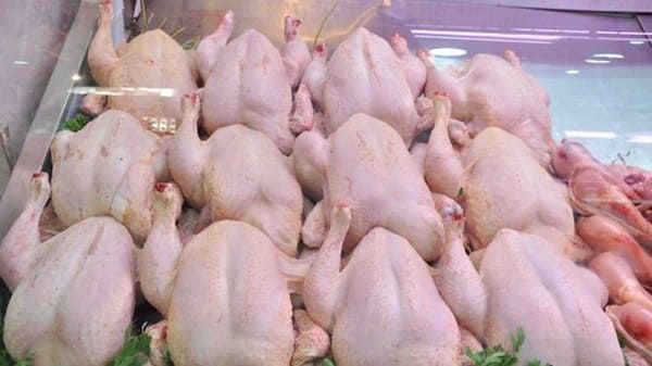 Saisie de 68 caisses de poulets à Mbour Saisie de 68 caisses de poulets à Mbour
