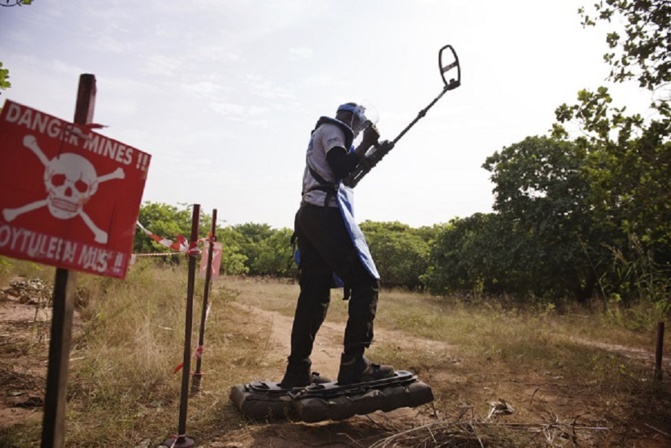 Déminage en Casamance : Le Japon prêt à aider le Sénégal