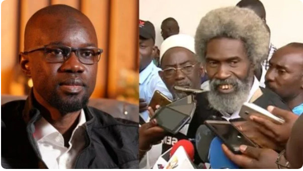 Refus des fiches de parrainage : Le collectif des avocats d'Ousmane Sonko, a saisi la CENA