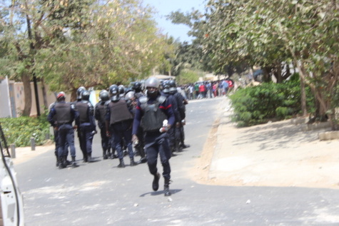 Les gmis en ordre de bataille