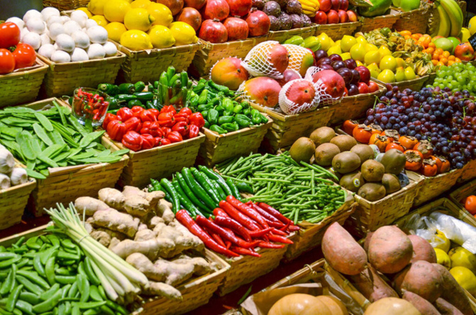 Consommation locale responsable : Ascodem et Miftah s’engagent à mettre à disposition des produits bio, cultivés au Sénégal