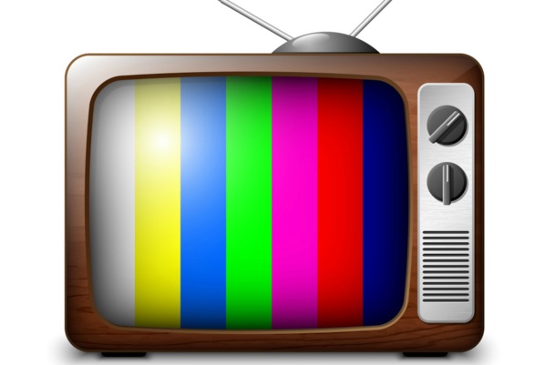 Le crépuscule du citoyen et le triomphe de la télé-citoyenneté : Quand des idoles deviennent des bourreaux