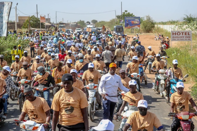 Accueil de Macky Sall à Kaolack: Pape Demba Bitèye fait une mobilisation monstre
