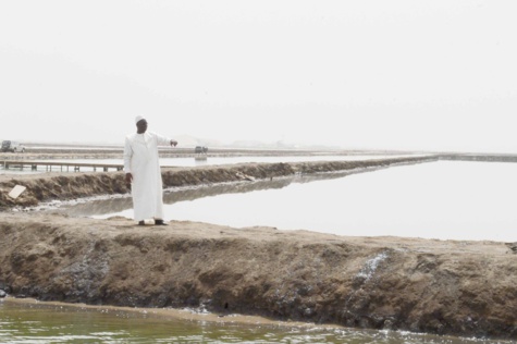 Le Président Sall visite la Société nouvelle des salins du Sine-Saloum 