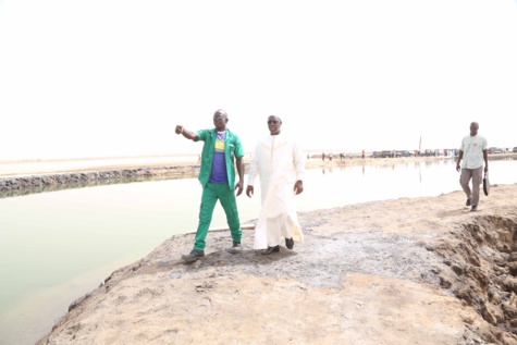 Le Président Sall visite la Société nouvelle des salins du Sine-Saloum 