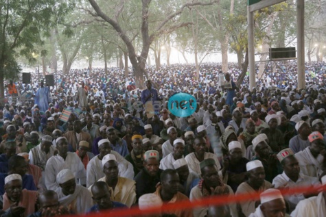 La foule de pélerins au Hadrat Diouma