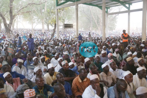 La foule de pélerins au Hadrat Diouma