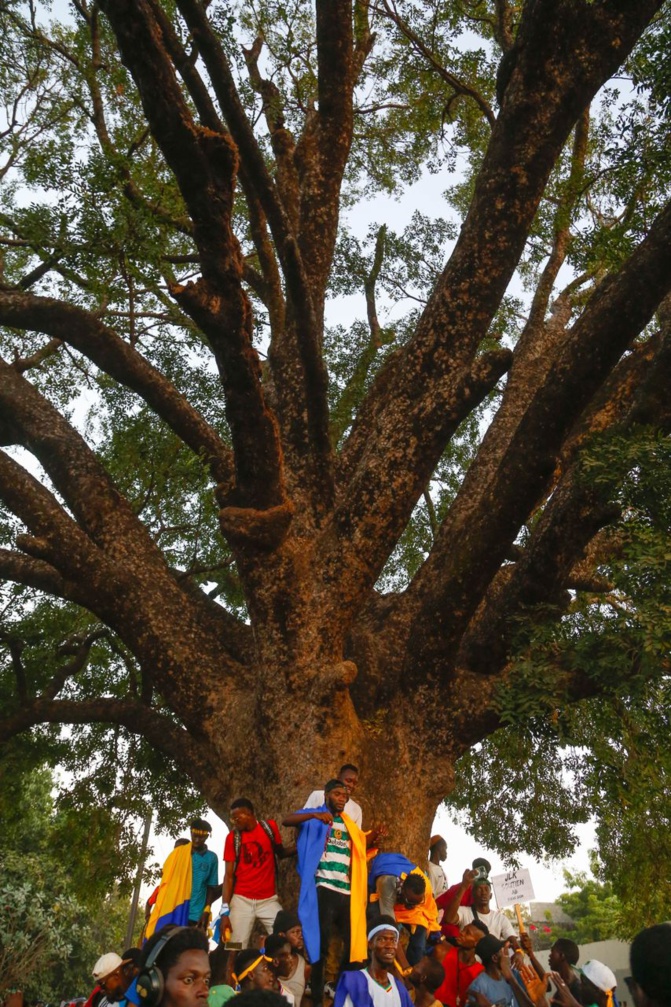 Kolda: Abdourahmane Baldé dit Doura mobilise la jeunesse de Doumassou, fief de Mame Boye Diao Kolda: Abdourahmane Baldé dit Doura mobilise la jeunesse de Doumassou, fief de Mame Boye Diao