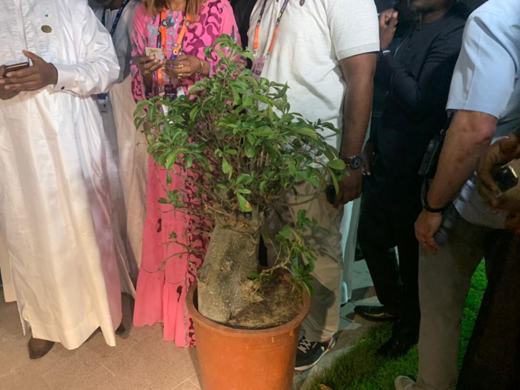 Photos+ Video/ Expo Doha 2023: Le Président de la République, Macky Sall en pleine activité d’exposition Photos+ Video/ Expo Doha 2023: Le Président de la République, Macky Sall en pleine activité d’exposition