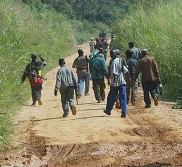 Kolda : Les femmes marchent pour le retour de la paix en Casamance, une bande armée répond par une attaque à Kaour