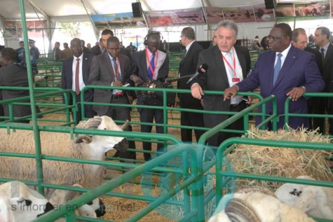 (7 photos) Le Président Macky Sall à la cérémonie d’ouverture de la 8ème édition des Assises de l'Agriculture à Meknès, au Maroc.