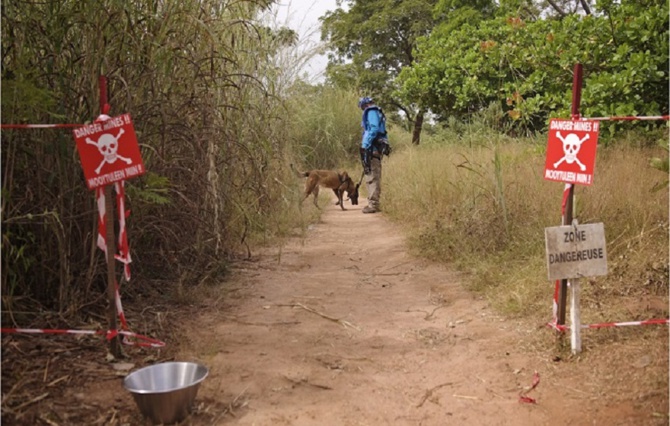 Une voiture militaire saute sur une mine en Casamance : Quatre soldats décédés !