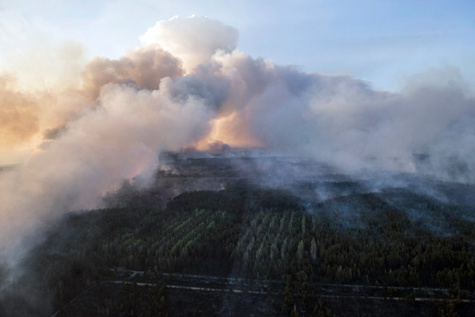 Vue aérienne de la forêt de Tchernobyl