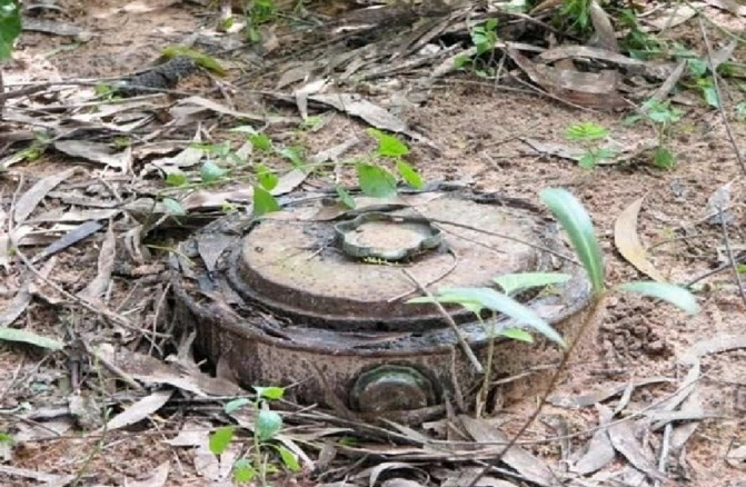 Mort de quatre braves soldats - Les condoléances de Karim Wade : La paix définitive en Casamance, un de ses chantiers prioritaires, au soir du 25 février 2024