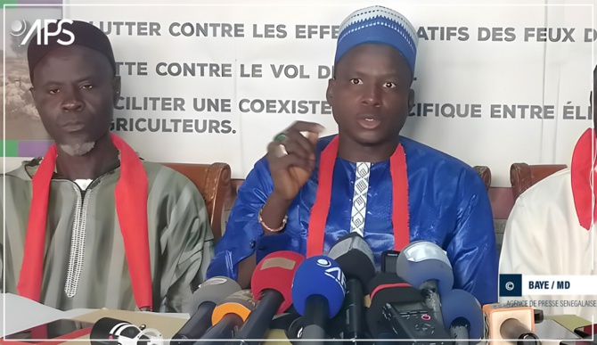 Kaolack : Des agriculteurs réclament la dissolution du Comité national interprofessionnel de l’arachide
