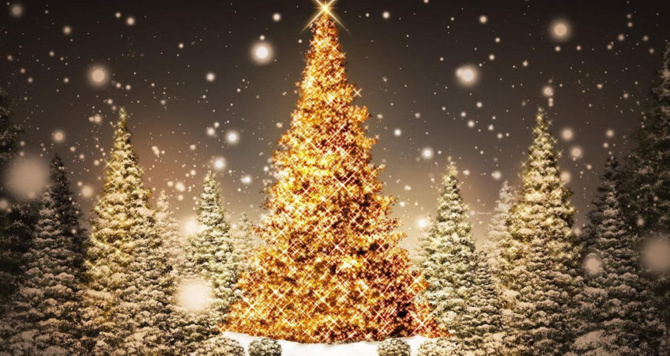 Arbre de noël:  Halte à l’inégalité en milieu scolaire !