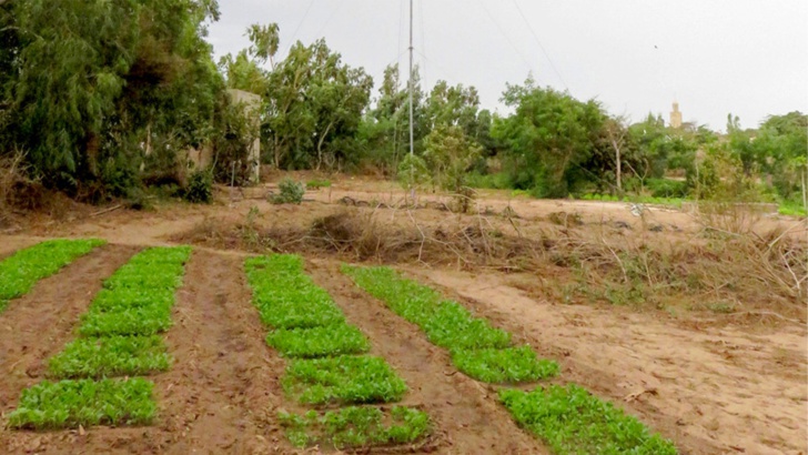 Manque d'infrastructures de base à Keur Marème Mbengue: Les habitants lancent un appel d’urgence Manque d'infrastructures de base à Keur Marème Mbengue: Les habitants lancent un appel d’urgence